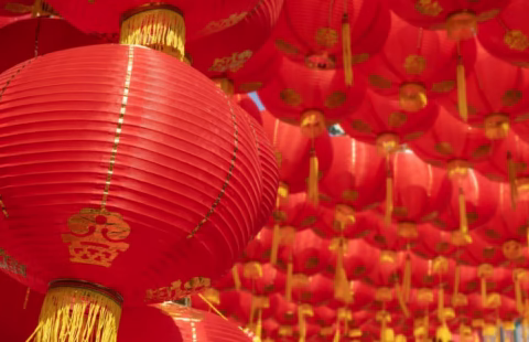 IV Seminário de Acupuntura e Terapias Afins - Festival de Outono na NES